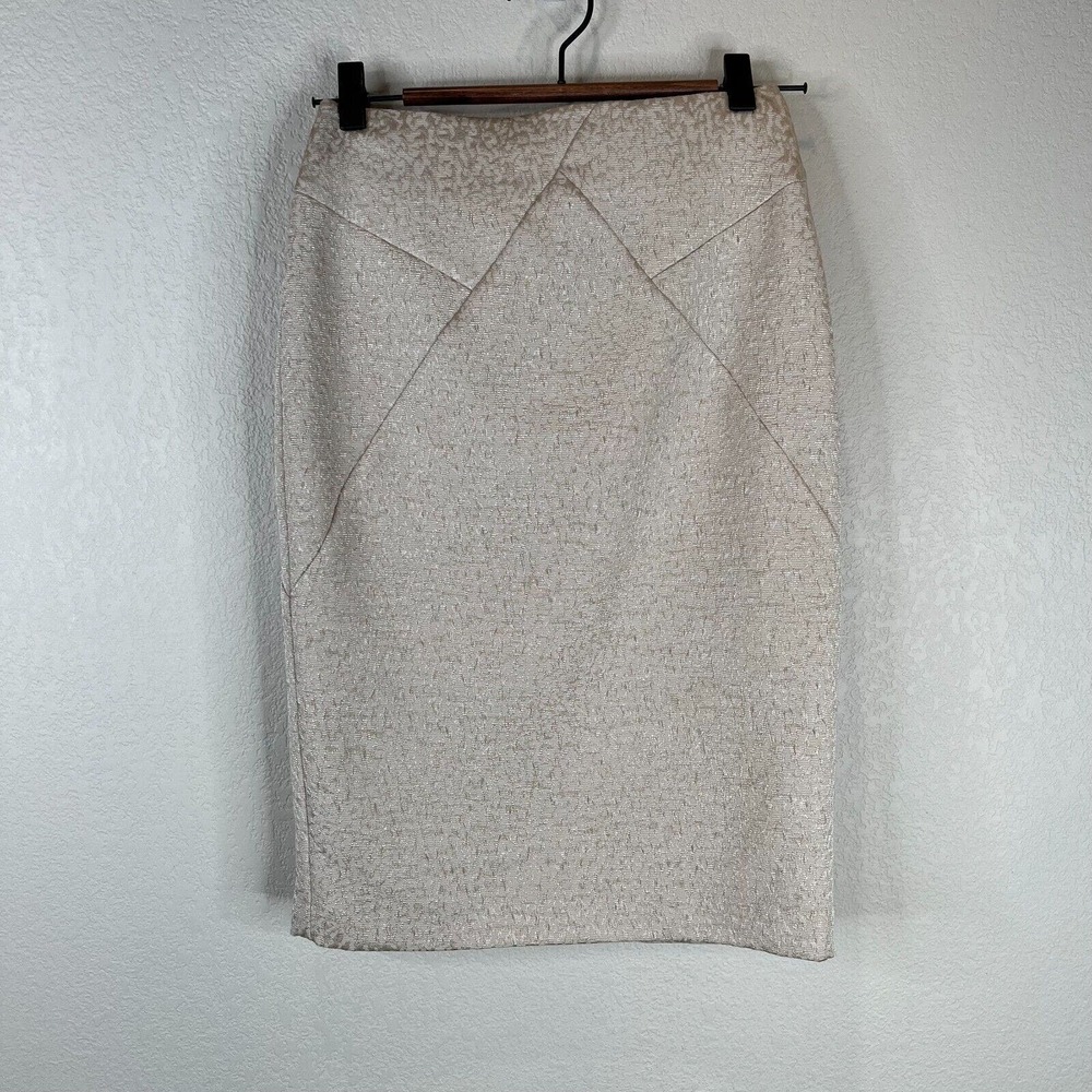 Reiss Women's Straight & Pencil Skirt Pull-On Back Zip Silver Size 0
